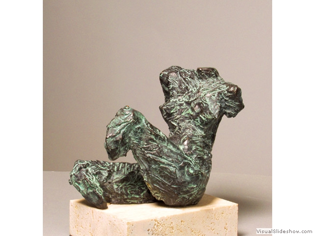 Héctor Balduzzi_TORSO-1