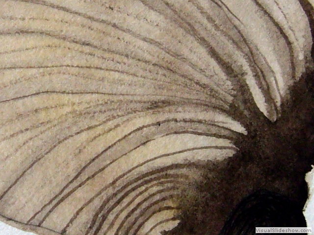 Lara Gómez_40. helix, aquarel.la, 13x27 cm