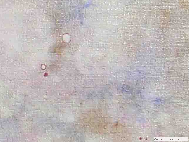 salomé hidalgo, mundoaparte XV