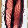 Lara Gómez_5. laques I, t.mixta, 8x24cm