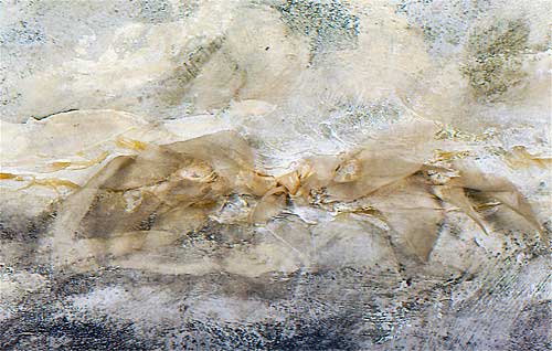 ANA DEVOTO, Pintura
