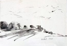 _MG_0696 _MG_0696