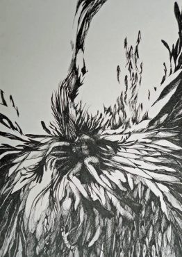 Open-Sea-Retirement-III Open-Sea-Retirement-III