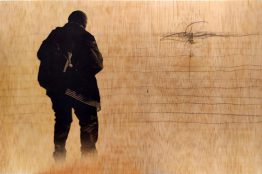 IMG_20190713_190115_w IMG_20190713_190115_w