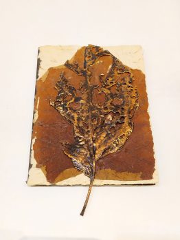 Helga_Correa_III_134537