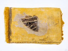 Helga_Correa_I_133812