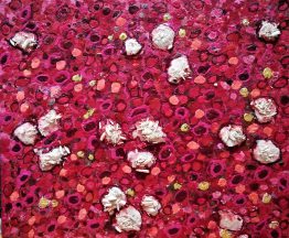 Objetos-no-identificados-sobre-fondo-rojo Objetos-no-identificados-sobre-fondo-rojo