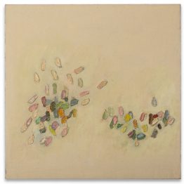 O3-CandelaMuschetto O3-CandelaMuschetto