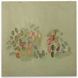 O4-CandelaMuschetto O4-CandelaMuschetto