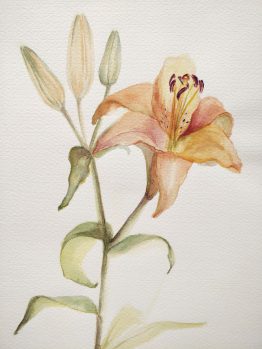 Flor Flor