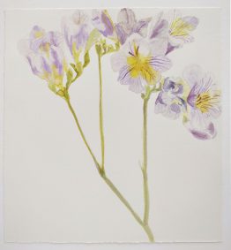 Lilas