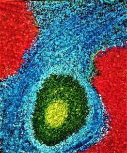 Azules-rojos-y-verdes_w